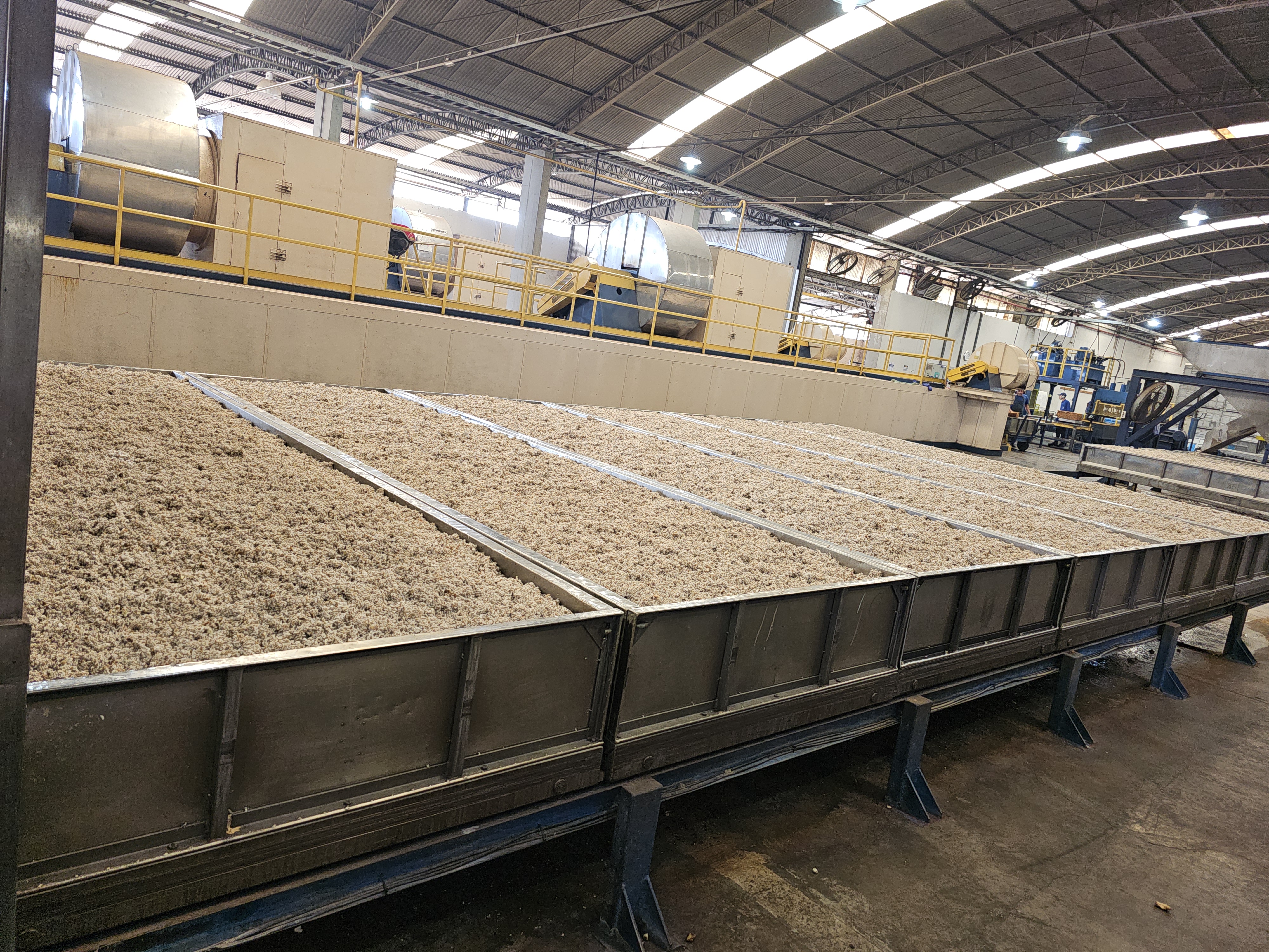 Vários carrinhos com borracha lavada e triturada prontos para secagem no forno.